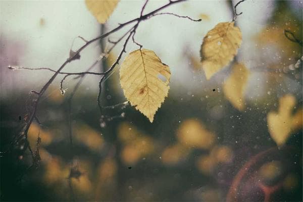 5 Free Digital Tools That Will Transform Your Workflow