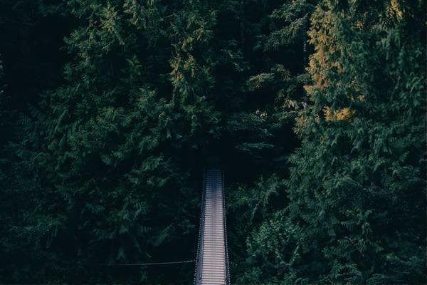 React vs. Next.js: Which One Should You Choose for Your Next Project?